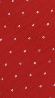 Shania Maxi Dress - Red Floral
