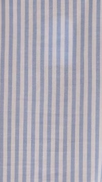 Tarnie Mini Dress - Blue Stripe