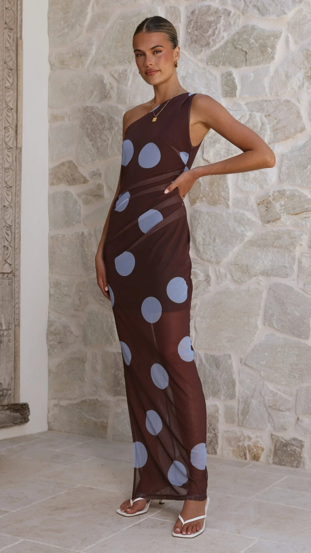 Cataleya Mesh Maxi Dress - Brown / Blue Polka Dot