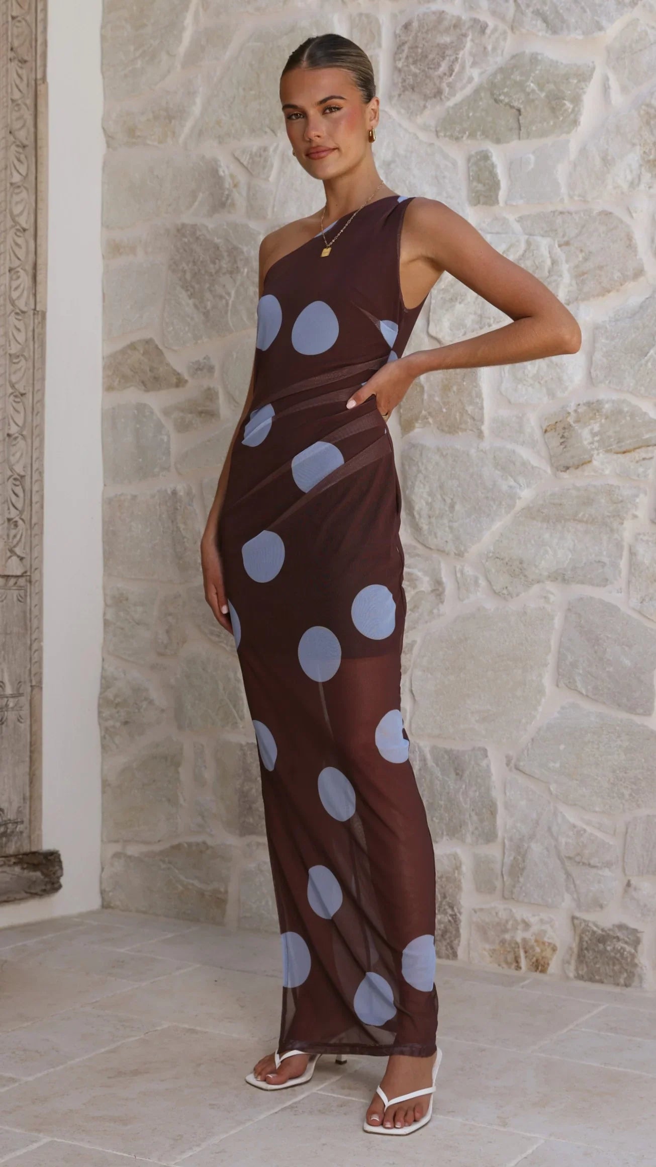 Cataleya Mesh Maxi Dress - Brown / Blue Polka Dot