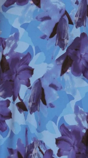 Oralia Maxi Dress - Blue Floral