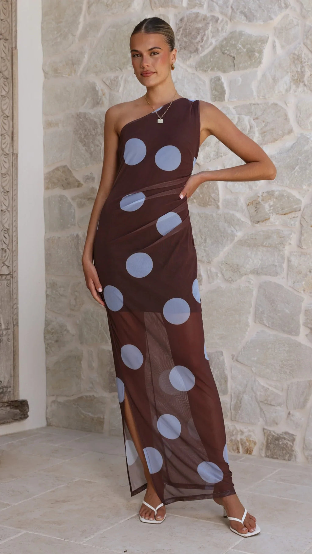 Cataleya Mesh Maxi Dress - Brown / Blue Polka Dot