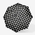 Umbrella Pocket Duomatic Dots White