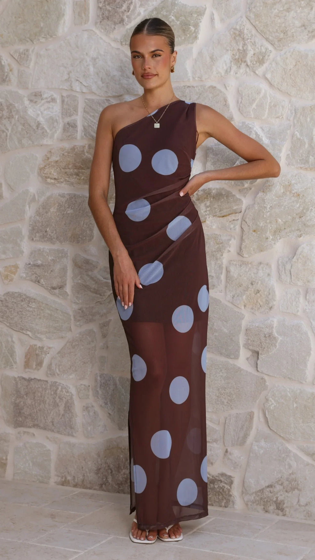 Cataleya Mesh Maxi Dress - Brown / Blue Polka Dot